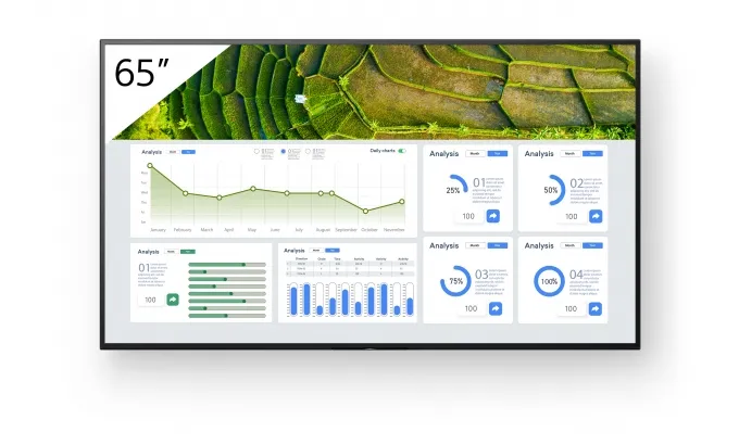 Sony BZ30L Series BZ30L Series 65" 4K UHD 3840x2160 HDR Direct LED